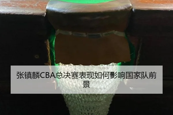 张镇麟CBA总决赛表现如何影响国家队前景